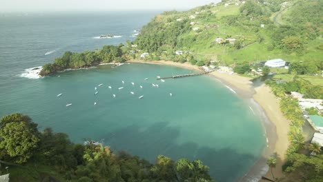 aerial view of parlatuvier beach located on the tropical island of tobago