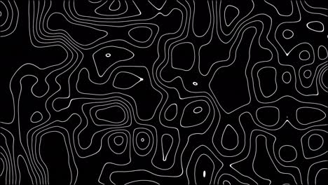 abstracto contorno animado mapa de contorno topográfico. ondas en movimiento sobre fondo negro.