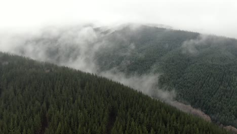 Hiperlapso-De-Drones-De-Nubes-Bajas-En-El-Bosque