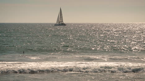 sailing boats on the ocean with birds flying and wind blowing water waves in a beautiful sunset moment time