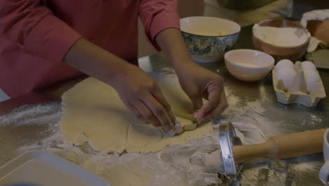 african american woman in the kitchen