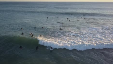 active surfers swimming in ocean trying to catch wave, surfing in summer during sunset