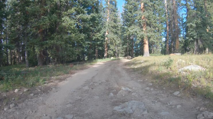 Colorado back country jeep trail near Aspen.