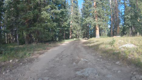 colorado back country jeep trail near aspen.