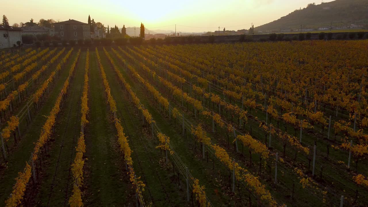 pintoresco campo de viñedo amarillo cálido en las colinas de valpolicella, verona, italia en otoño después de la cosecha de uvas para vino tinto al atardecer rodeado de granjas y pueblos tradicionales