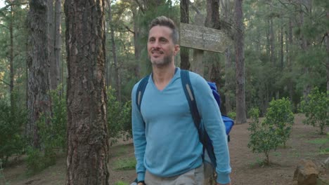 male hiker walking in forest