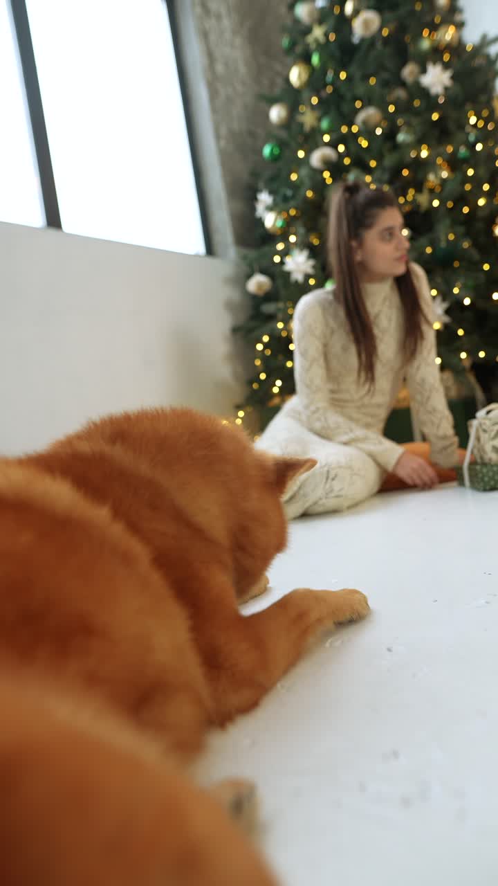 개 와 여자 와 함께 크리스마스 축제