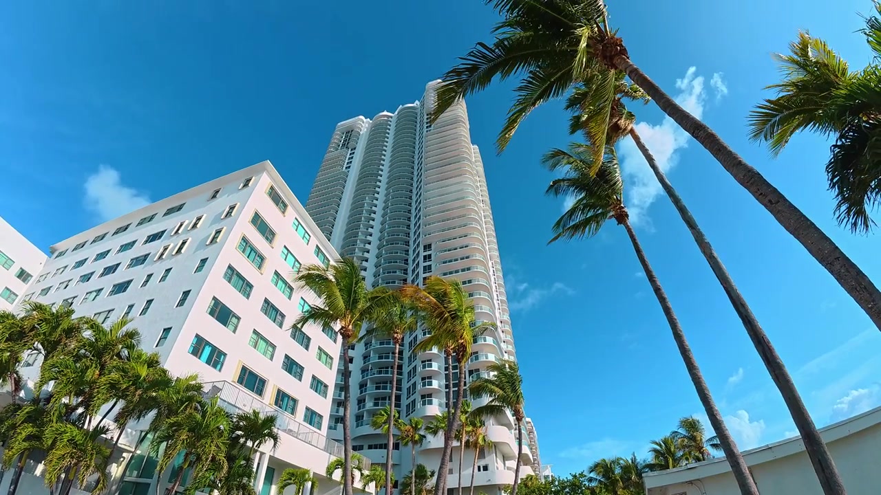 Sedie a sdraio vuote a bordo piscina circondate da palme a Miami. Terrazza del resort con lettini scuri, pavimentazione in mattoni, edifici bianchi e palme verdi sotto un cielo blu.