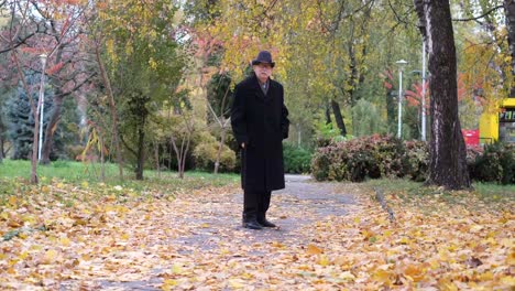 elderly man with assistant walking in autumn park peaceful scene elderly man with a caring woman walking together in a scenic autumn park embodying companionship and the importance of support for seniors