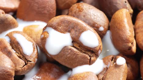 close-up, roasted coffee beans with milk dripping and splash, aromatic flavor macro shot