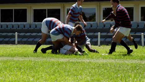 rugby players tackling during game 4k