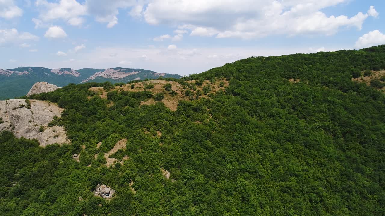 paisaje forestal montañoso