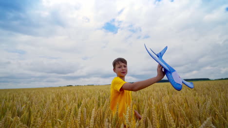 boy with airplane toy. happy cute boy with plane toy on wheat field