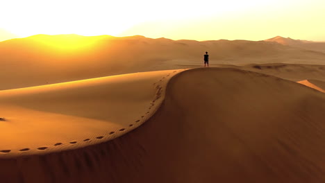 Making-tracks-over-the-sand-dunes