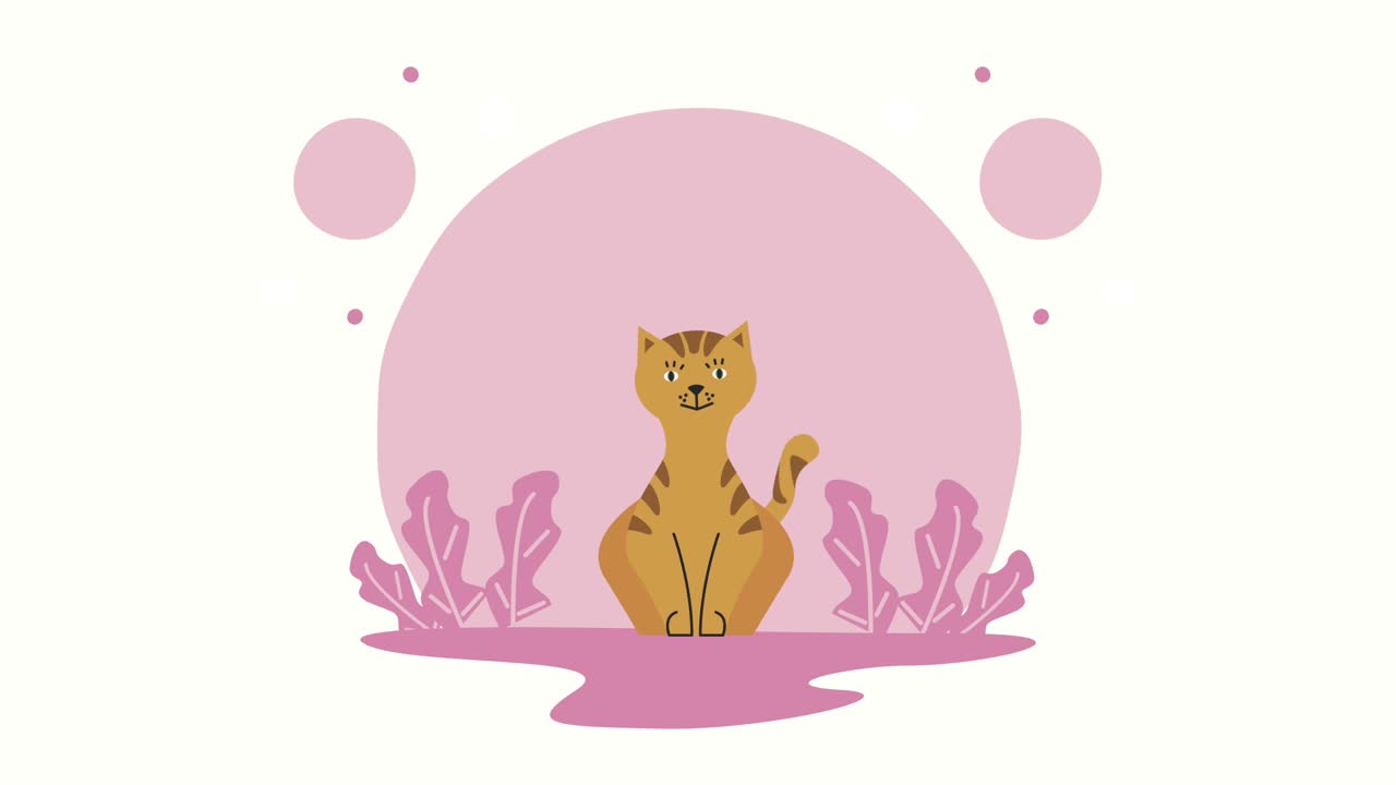 イエロー・キャット・マスコット イン・ザ・グラス アニメーション