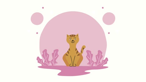 mascota gato amarillo en la animación de la hierba