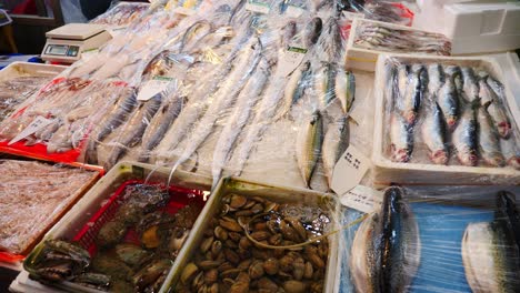 gwangjang market, dongdaemun market, oldest and largest traditional korean street food market