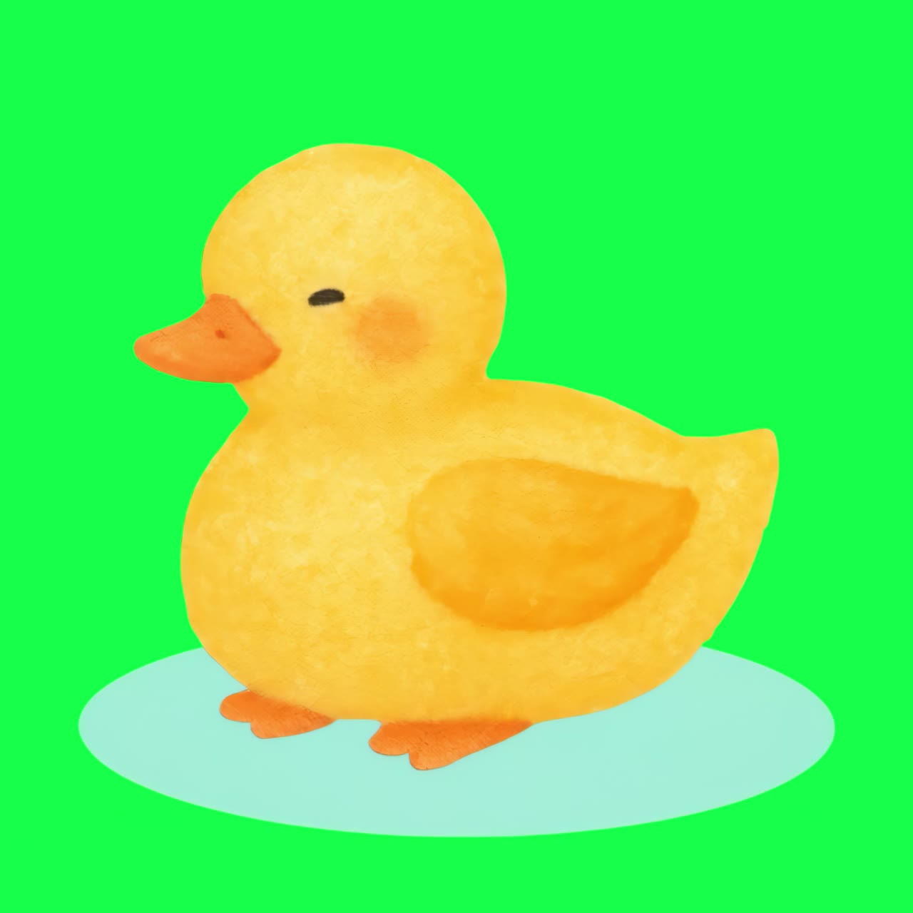 Cute watercolor duck illustration animation, transparent 4K video, green screen