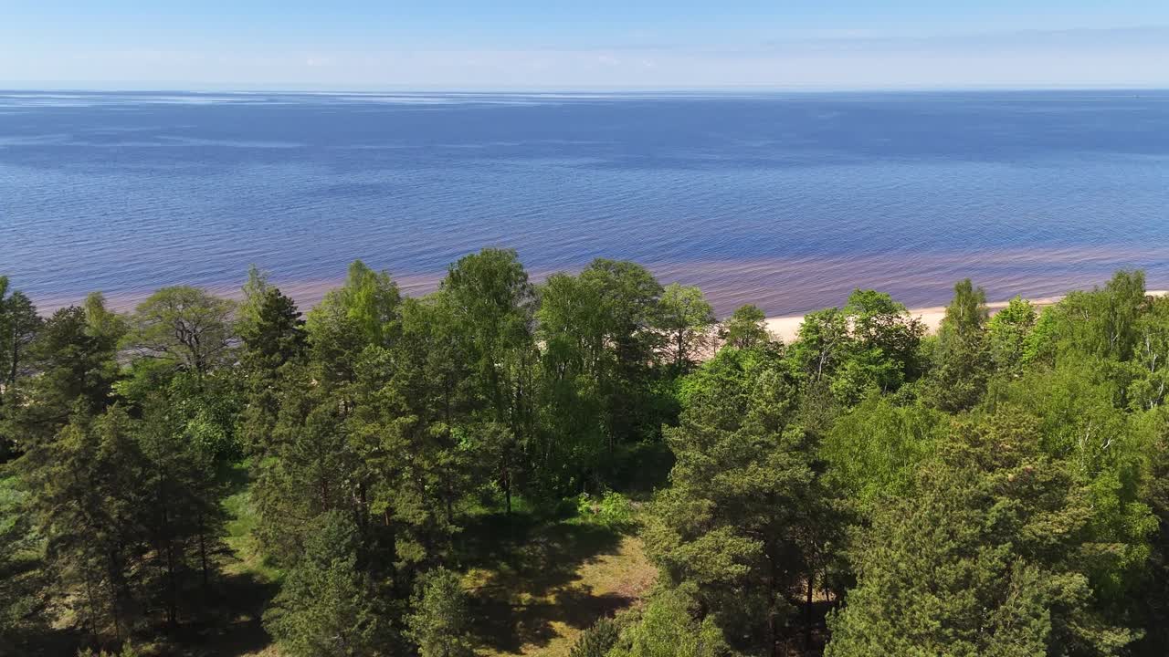 Drone flies above mixed forest with Betula pendula and Pinus sylvestris, heading toward the sandy Baltic shore near Tūja, Latvia, revealing coastal nature