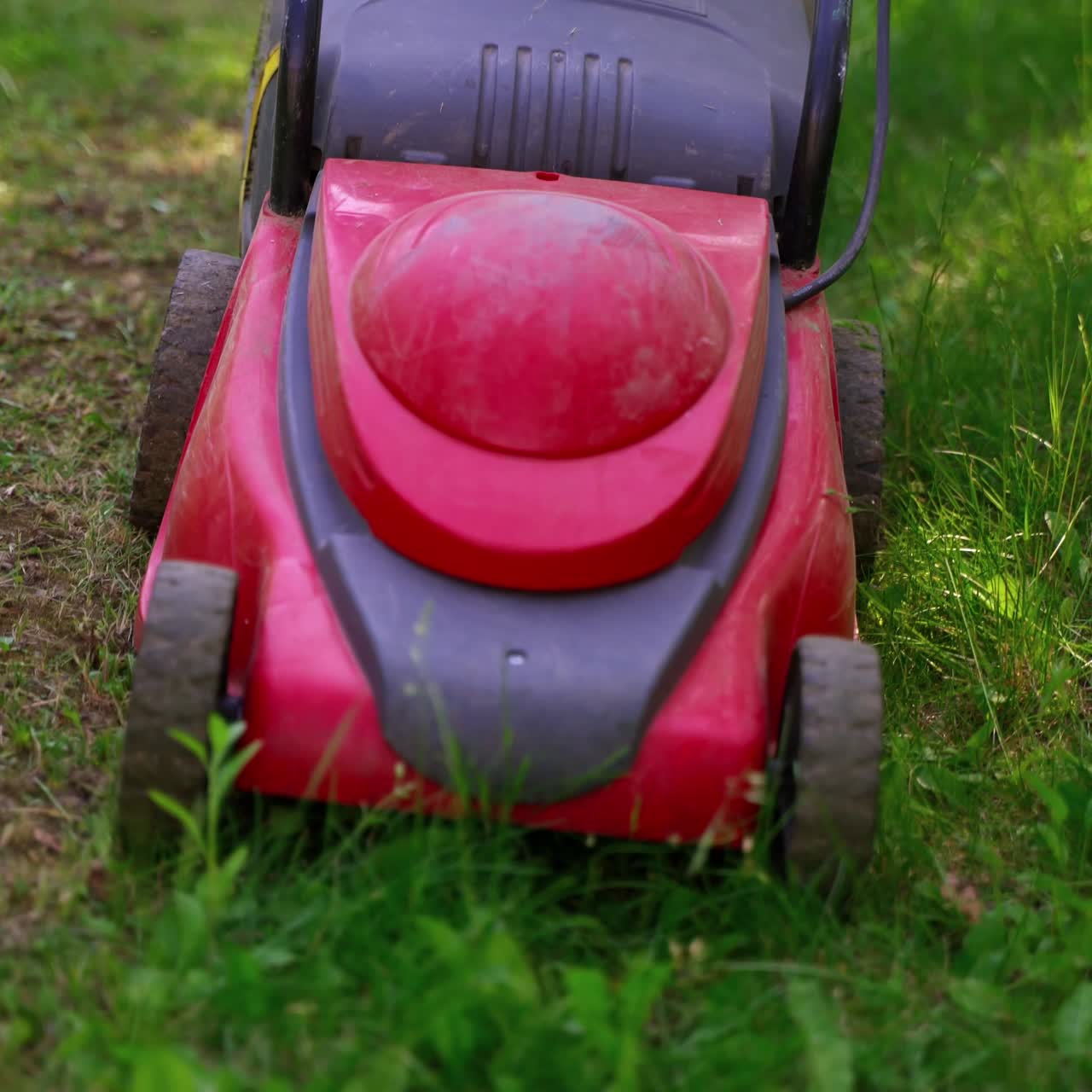 Grass mower in the yard. Electric lawn mower at motion. Worker cutting grass in the garden. Gardening concept.