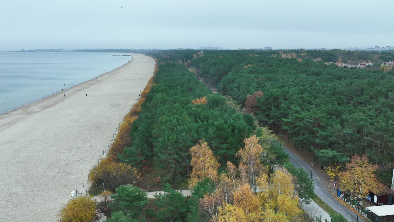 Wide aerial shot of long sandy beach beside dense coastal forest under cloudy autumn sky