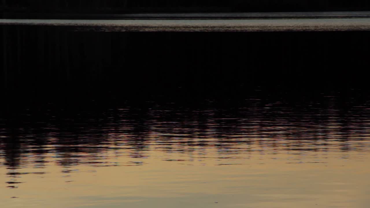 Close up of pretty dark water surface and ripples from a lake or pond