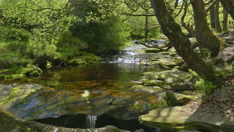 wonderful wyming brook nature reserve, near sheffield yorkshire, uk