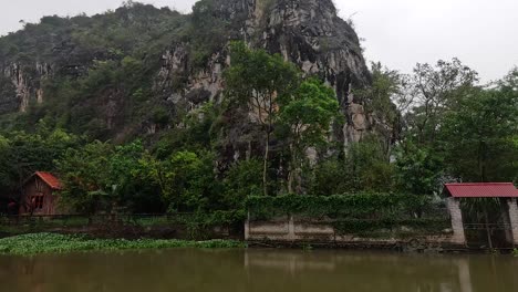 tranquil river scene with lush greenery