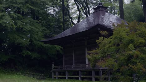 tranquil japanese temple in a lush forest