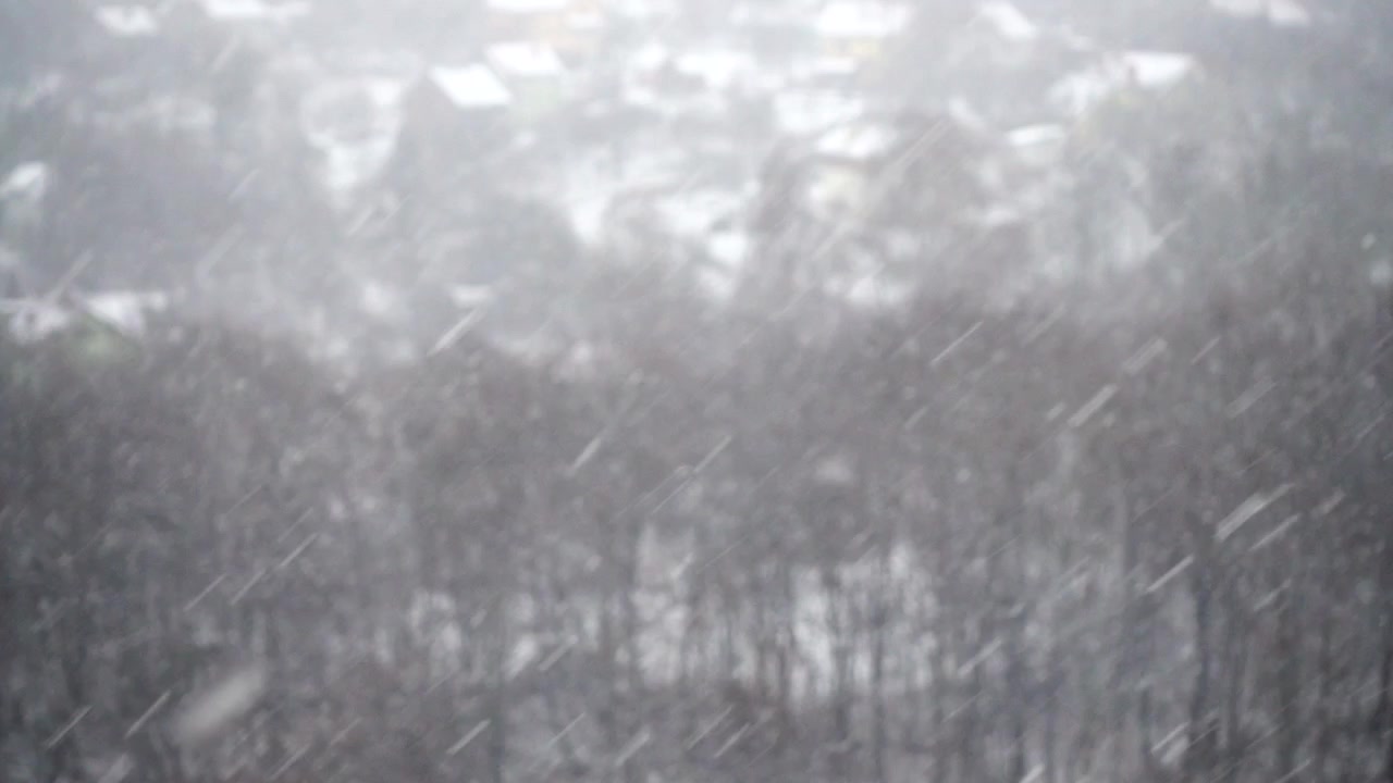 Shooting falling snow in winter.