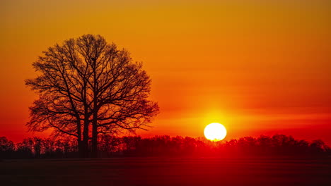 time-lapse of a colorful spring sunrise behind leafless countryside trees