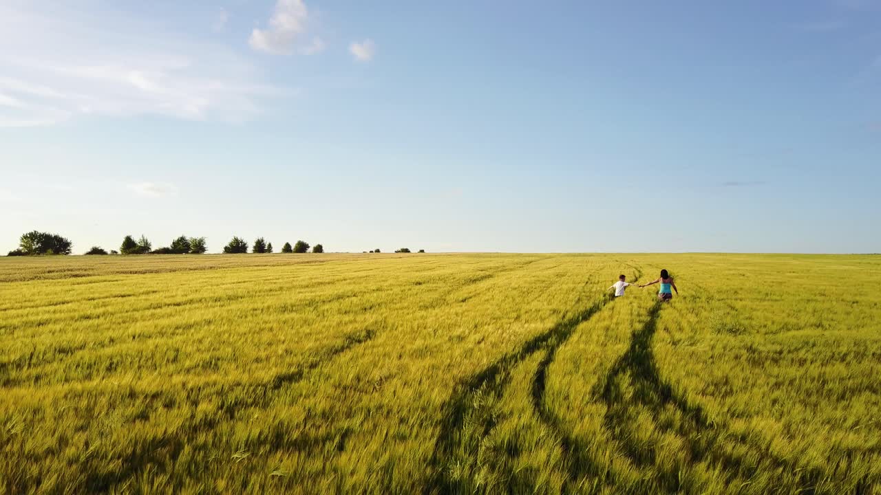 Mother With Her Son Walking On The Field. Aerial shot of family mother with her son walking around the field