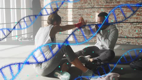 animation of dna strands over diverse man and woman exercising in boxing gym