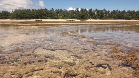 Static-view-of-corals-on-sea-floor-on-a-low-tide-with-crystal-clear-sea-water