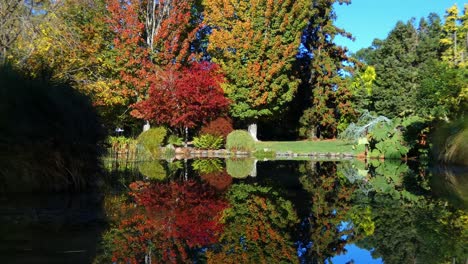 Incredible-autumn-colors-reflected-in-pond---Hagley-Park,-Christchurch