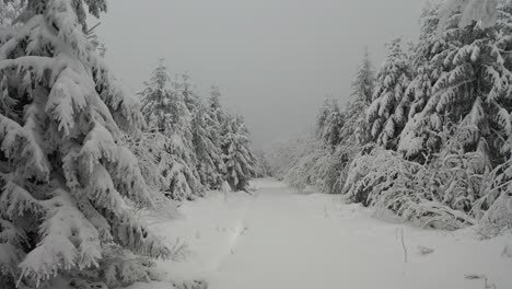 Drone-flight-snowy-landscape-in-Black-Forest-Germany