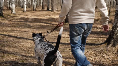 man walking his dog in a forest