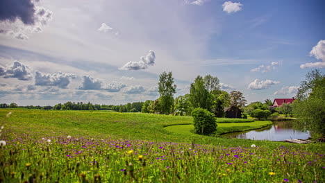 tiro de lapso de tiempo del hermoso paisaje natural con flores florecientes en el prado al lado del lago y las nubes en el cielo azul en la temporada de primavera