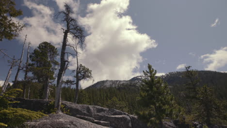 On-the-peak-of-Canadian-mountain-with-evergreens-and-clouds