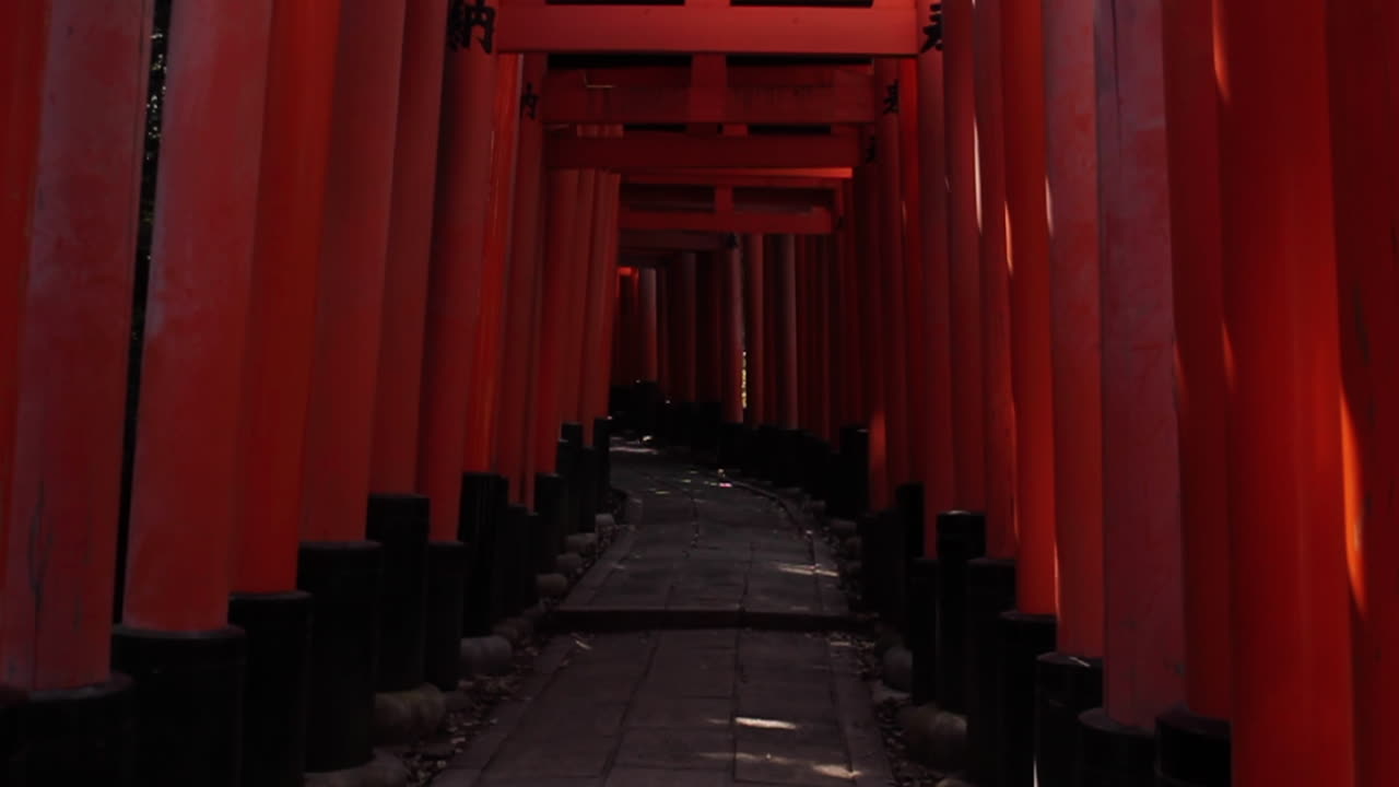 caminando por el templo de kyoto en japón