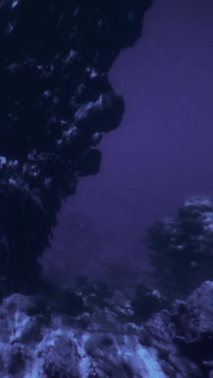 Exploring marine life among coral reefs in deep water setting