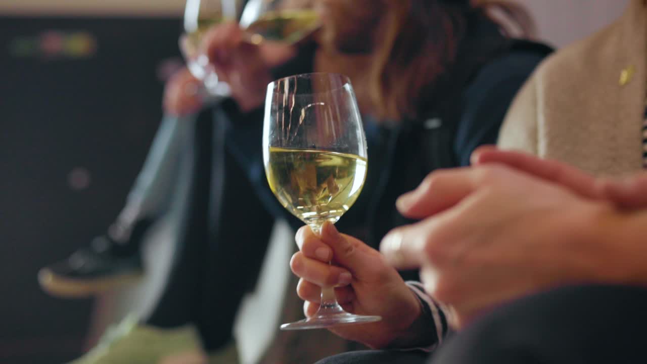 jóvenes bebiendo vino blanco o champán en una fiesta vistiendo ropa vintage y sosteniendo la copa de vino conversando entre ellos 50 fps