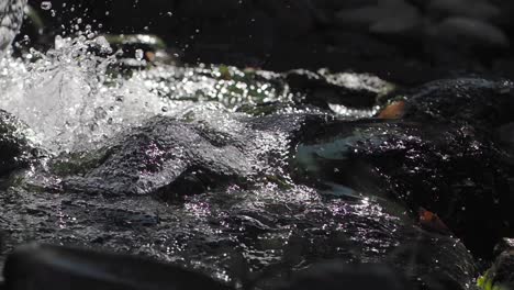 Water Splashing Over Dark Rocks in a Natural Stream