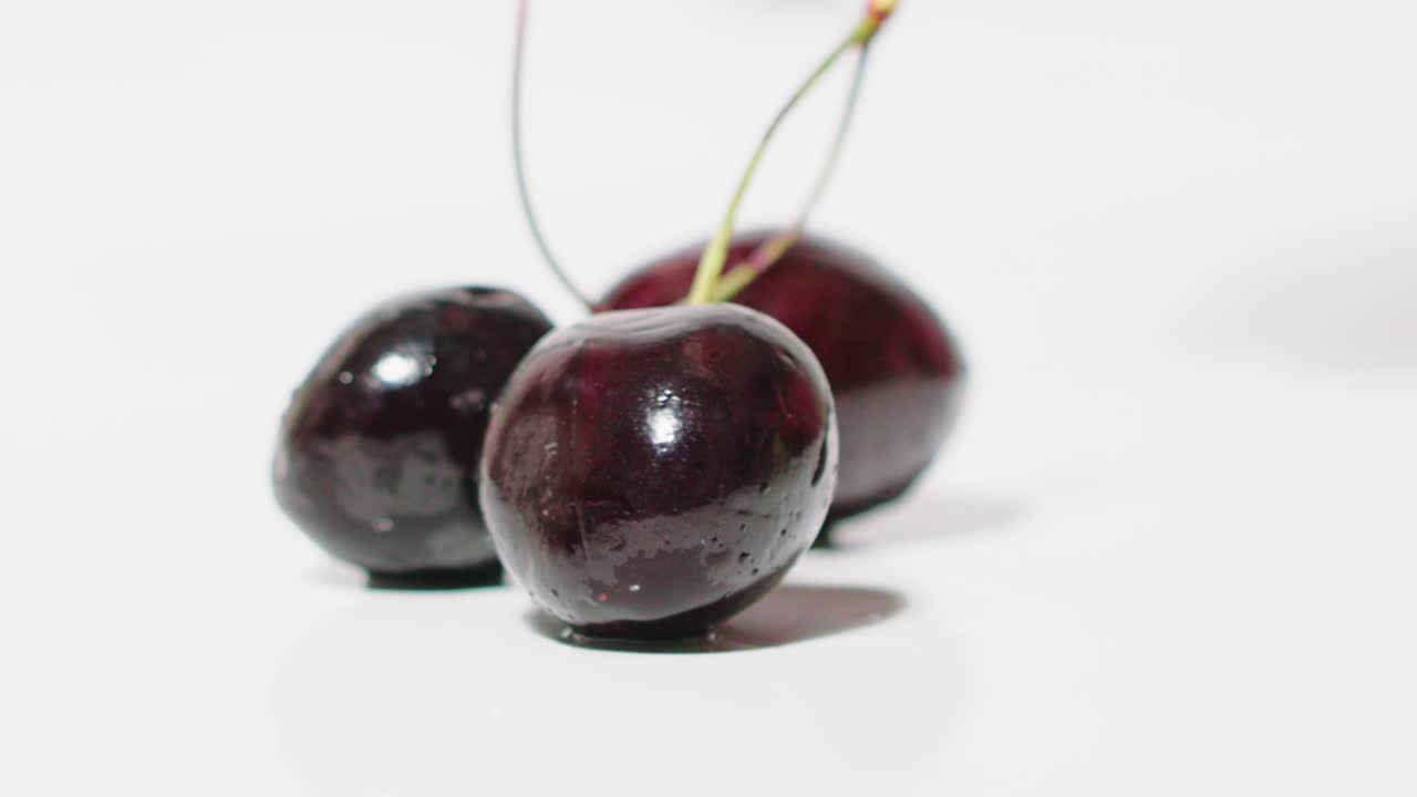 湿った赤い桜が落ちる