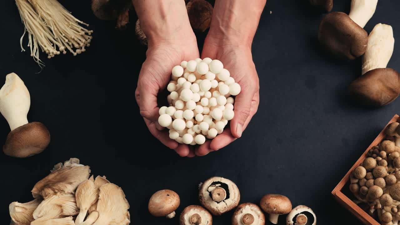 Hands Holding a Pile of Fresh White Mushrooms with Other Types of Mushrooms