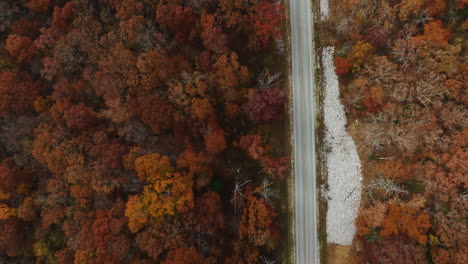 country road between lush autumn forest in arkansas, usa - aerial top down