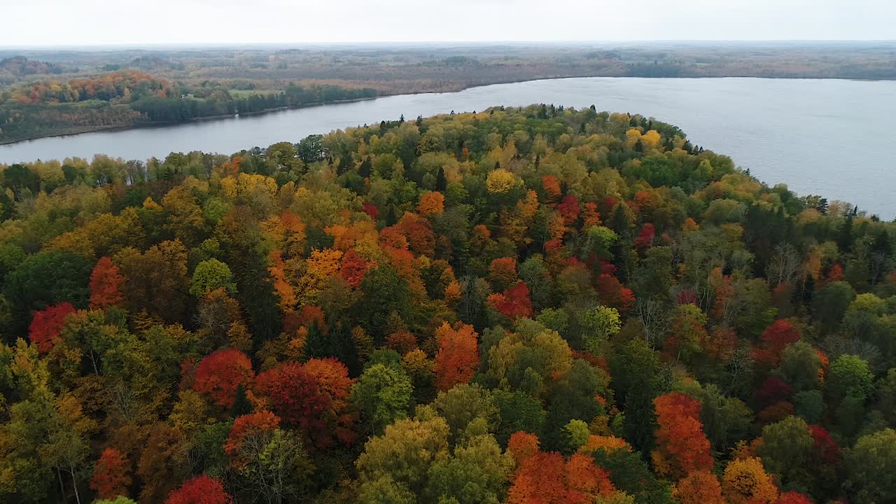 coloridos bosques estacionales y lago pantanoso en imágenes aéreas de otoño