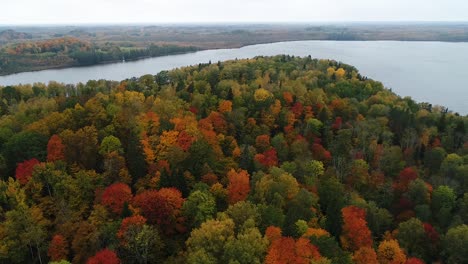 Bunte-Saisonale-Wälder-Und-Moorsee-Im-Herbst-Luftaufnahmen