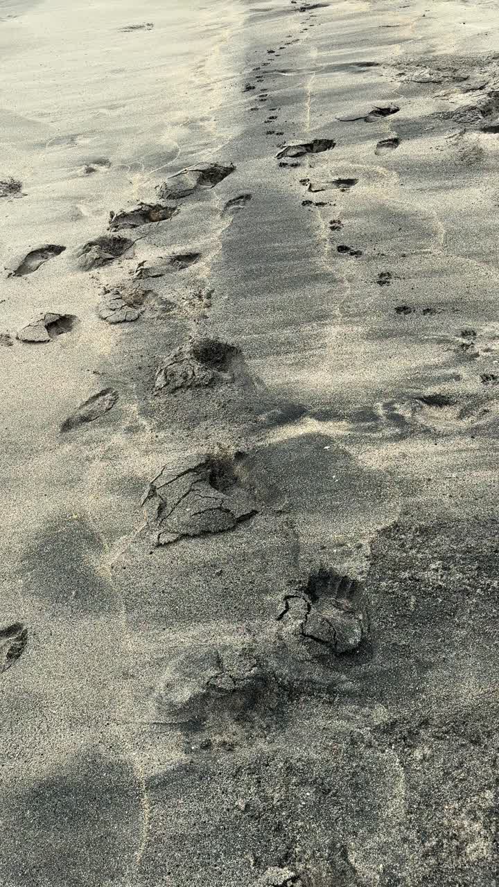 Impronte di piedi e di zampe nella sabbia su una spiaggia