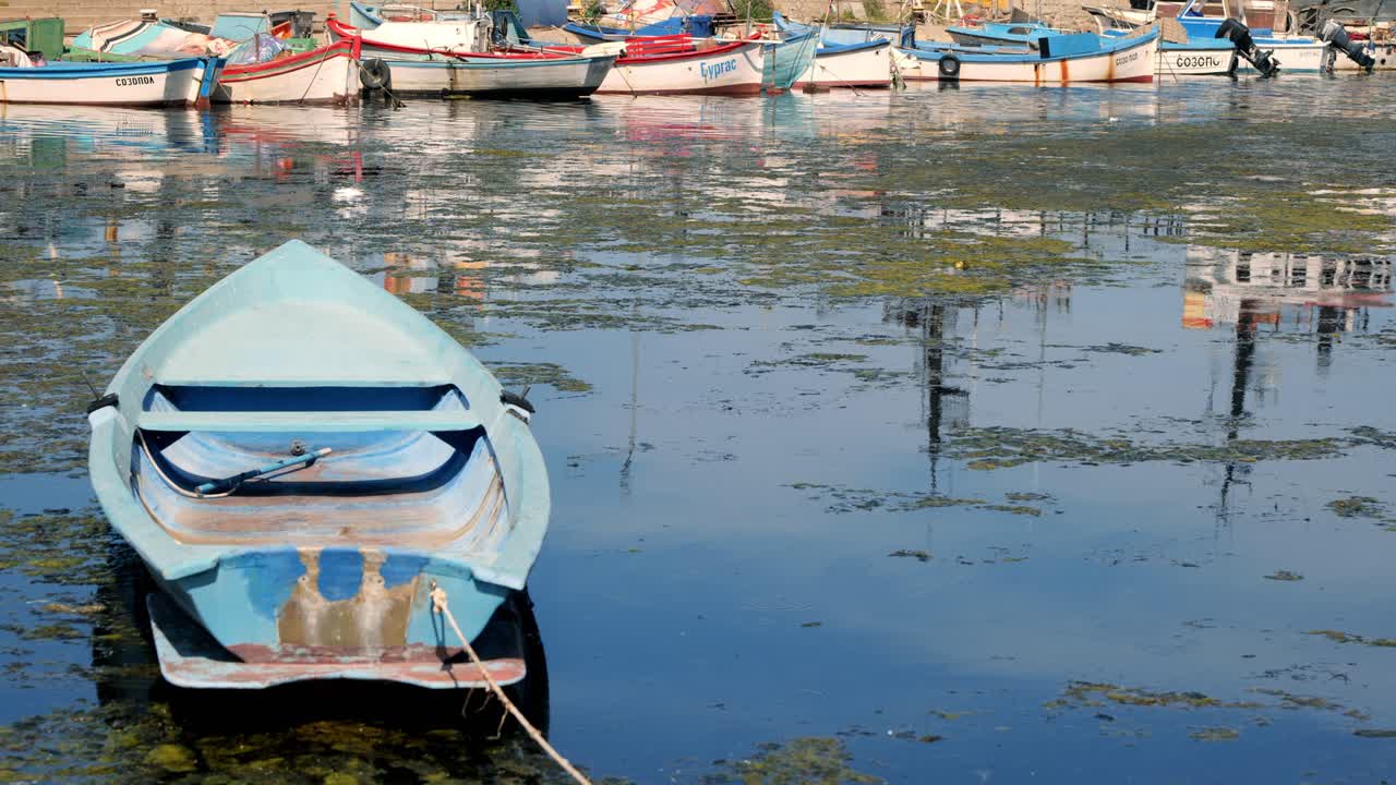 botes de remos en aguas tranquilas de algas verdes del puerto deportivo de sozopol
